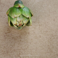 nen giay be mat xi mang nut me 6