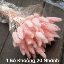 Co Duoi Phu Kien Chup Anh - Hong