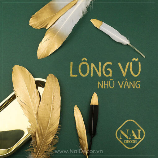 long vu nhu vang trang tri chup anh main