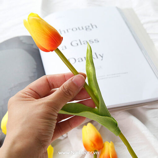 hoa tulip trang tri phu kien chup anh nhieu mau 3