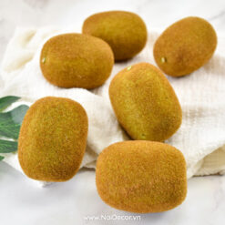 trai kiwi trang tri mo phong 4