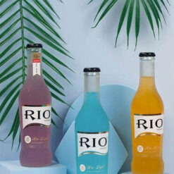 Chụp Đồ uống / Nước đóng chai với khối hình học nhiều màu sắc, Lá cây, Nền màu, nước uống, sản phẩm, Trắng, xanh dương nhạt, xanh lá đậm, xanh ngọc