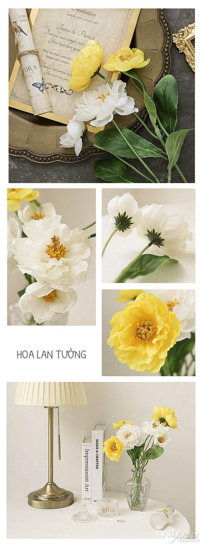 Hoa Lan Tuong Mo Phong C2