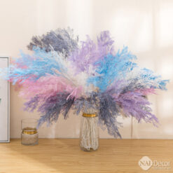 Cay Suong Muoi Mo Phong Trang Tri (1)