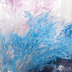 Cay Suong Muoi Mo Phong Trang Tri (3)