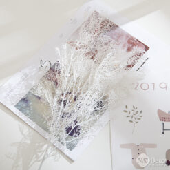 Cay Suong Muoi Mo Phong Trang Tri S4