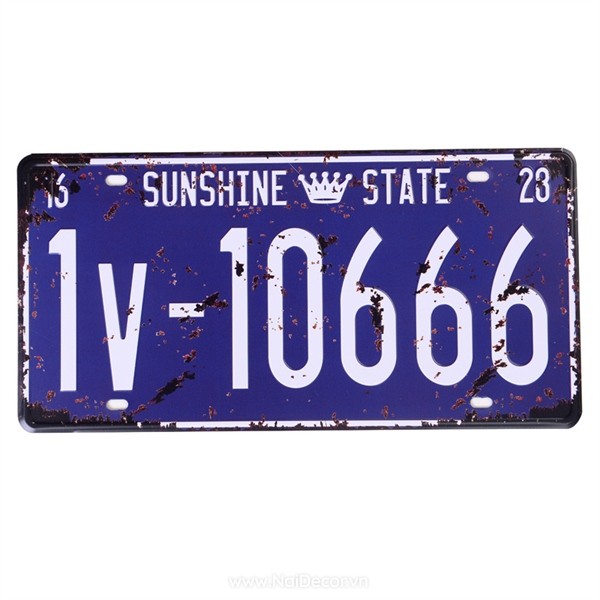 A8-1V10666