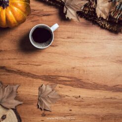 A0 Nen Pvc Gia Co Cao Cap Sieu Mong Pvc-20 Xa Xi