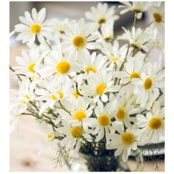 naidecor.vn images upload woo2f1e8a9bae3a4022b5c321abbc93162bd7