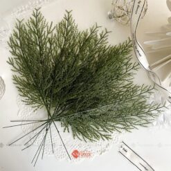 naidecor.vn images upload woo2f2851f0a1ef6a764c65fe932e00e5ceda