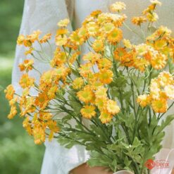 naidecor.vn images upload woo2f4197583ac13360876ef64420c99dd97f