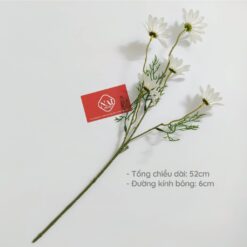 naidecor.vn images upload woo2f5417950d25a287207074acbd4f0a1a91