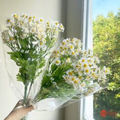 naidecor.vn images upload woo2f7dfb87c8ceeb5bf877f154ff56c479d0