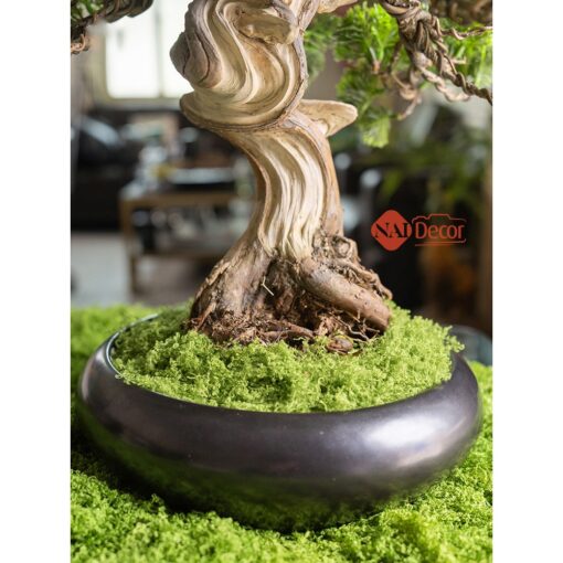 naidecor.vn images upload woo2f854dcfd4faeaac097f80e89dd29ad6ac
