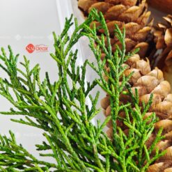 naidecor.vn images upload woo2f8abe9cf008fc208fbb819b777b28ac19