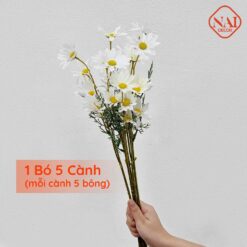 naidecor.vn images upload woo2f90d9ee3813b63414e89fb2390815c138