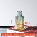 Grad_Sọc Dọc