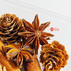 naidecor.vn images upload woo2ffa059b1b3f91234a075025ae34d09af0