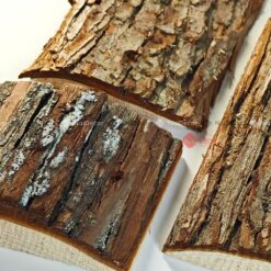 naidecor.vn images upload woo2f9df69f0103c8318eb2806b241cbdbb88